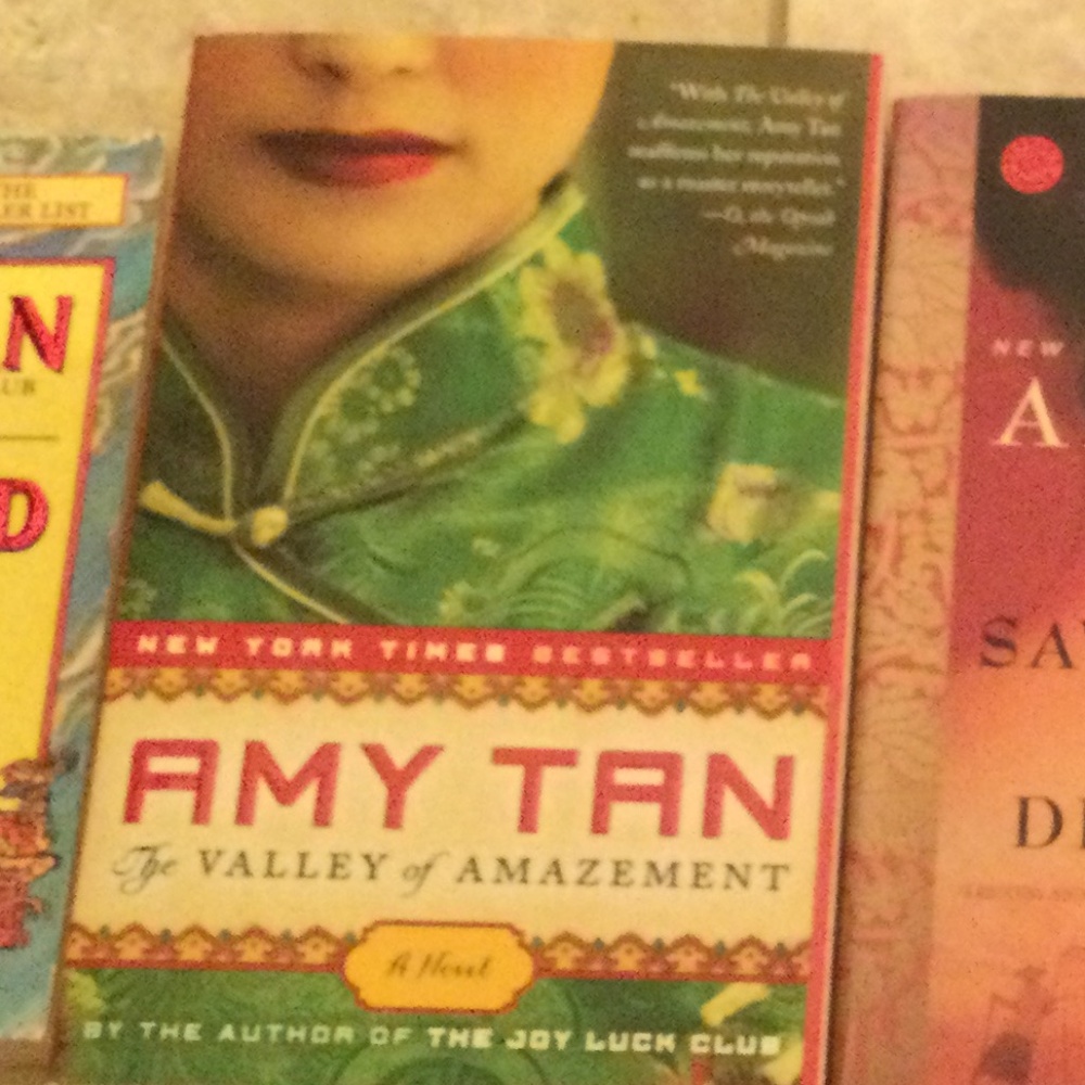 Amy Tan Collection - Picture 11 of 12